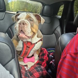 Meet your Posher, Sherry